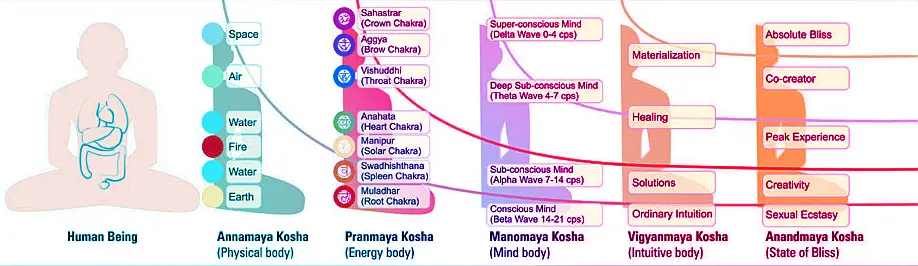 five koshas diagram five koshas diagram