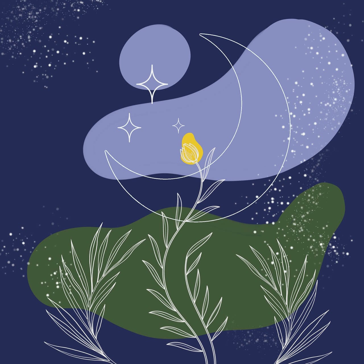 plants moon background 6300778 plants, moon, background-6300778.jpg