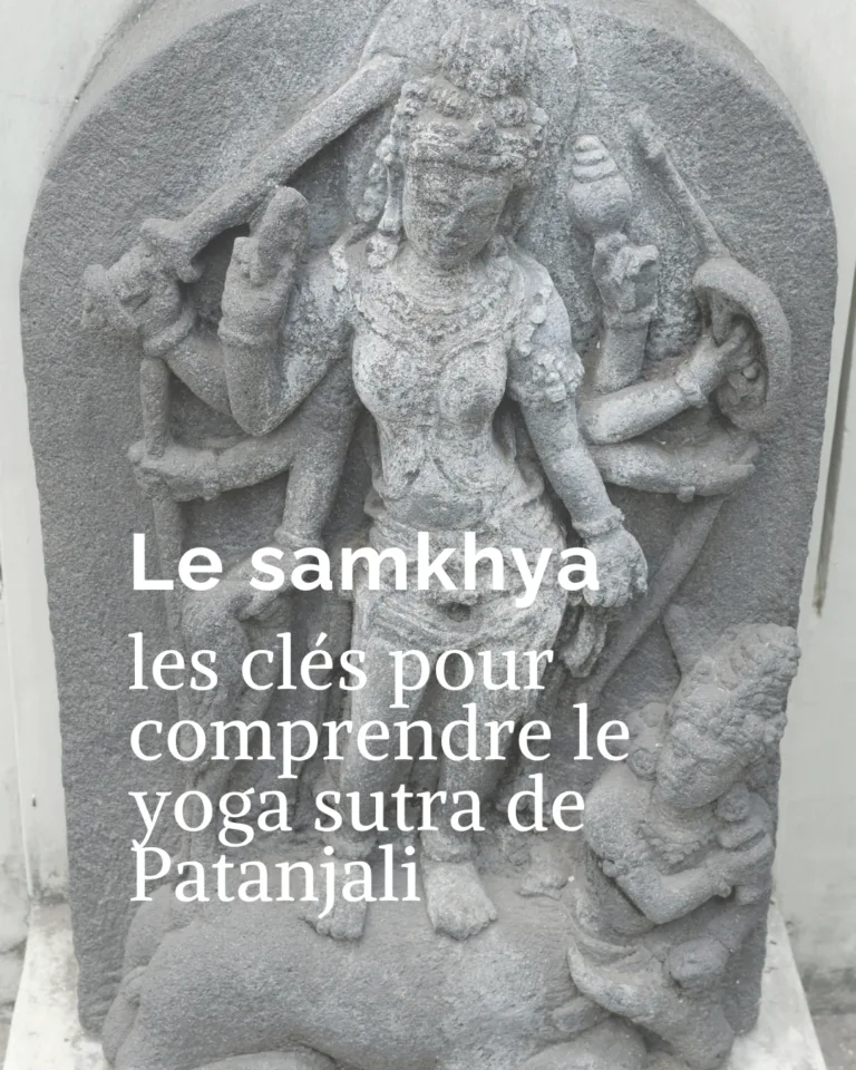 Le SAMKHYA : les cl&eacute;s pour comprendre les YOGA SUTRA de Patanjali