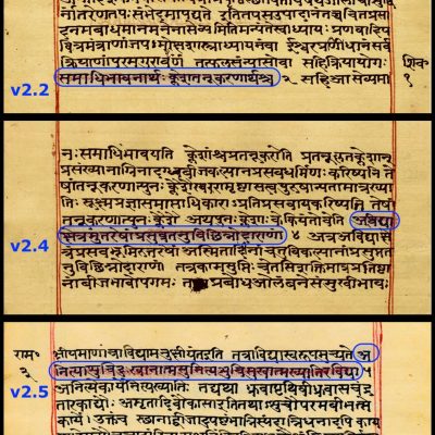 Yogasutra_with_Patanjali's_bhasya,_Sanskrit,_Devanagari_script,_random_sample_pages_f1v_f2r_f3v